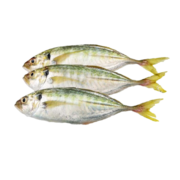 MicrosoftTeams-image-22-600x600-Photoroom